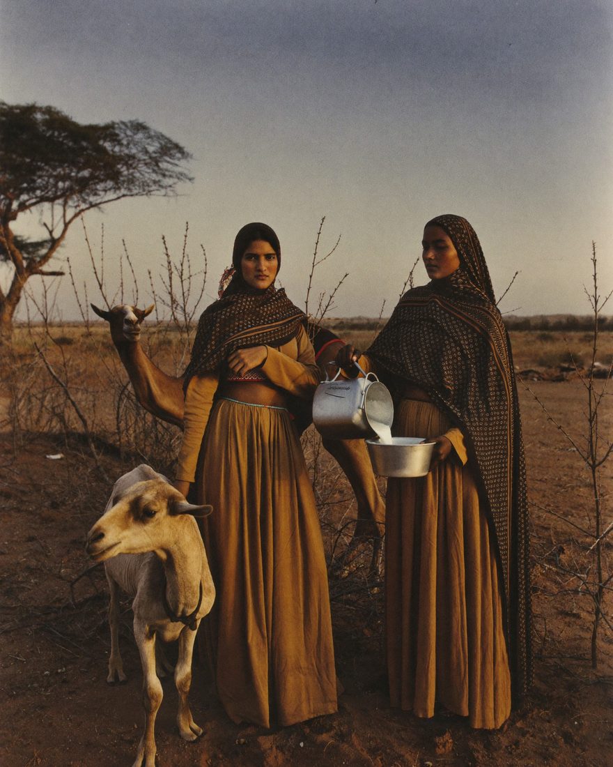 Two Somali women tend goats and a camel beside a thorn enclosure in an arid pastoral settlement.